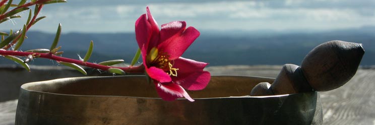 Bol tibétain devant un paysage de retraite spirituelle