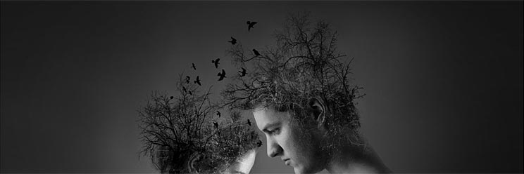 Les mots de Francis se transformaient en clés qui flottaient dans l'air